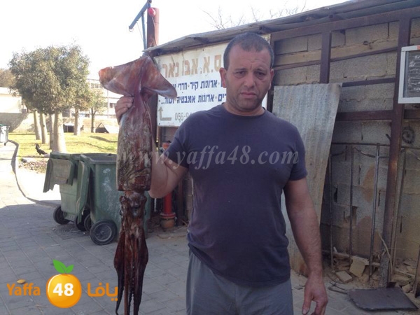 kalmary 3emad katta (1).jpg